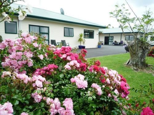 Coromandel Court Motel Exterior foto